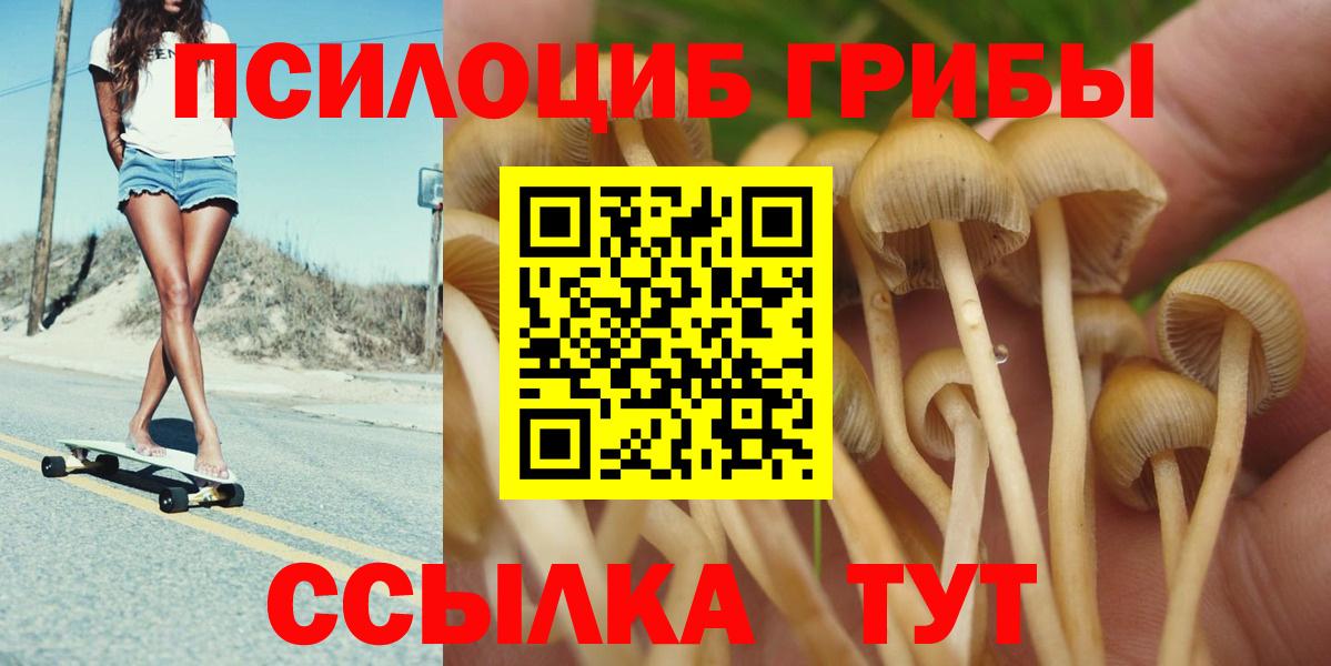 Галлюциногенные грибы Cubensis  Галлюциногенные грибы ЛСД  Вход с VPN  Касимов 