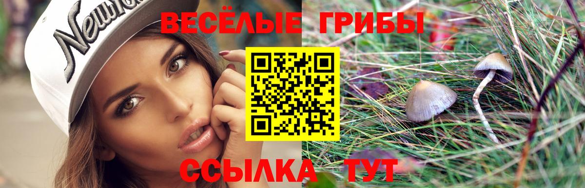 Псилоцибиновые грибы GOLDEN TEACHER Касимов